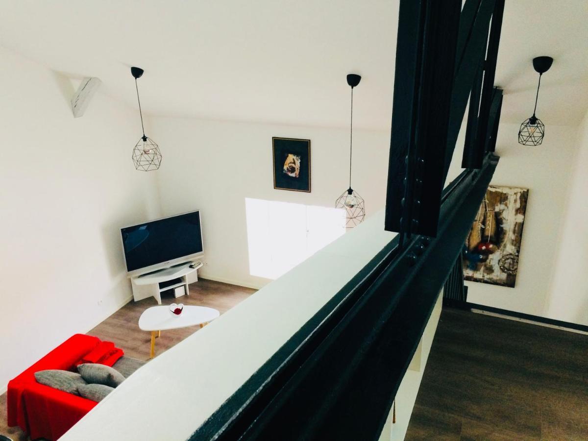 Superbe Appartement Type Loft En Duplex Rue Buat Шалон-ан-Шампань Экстерьер фото
