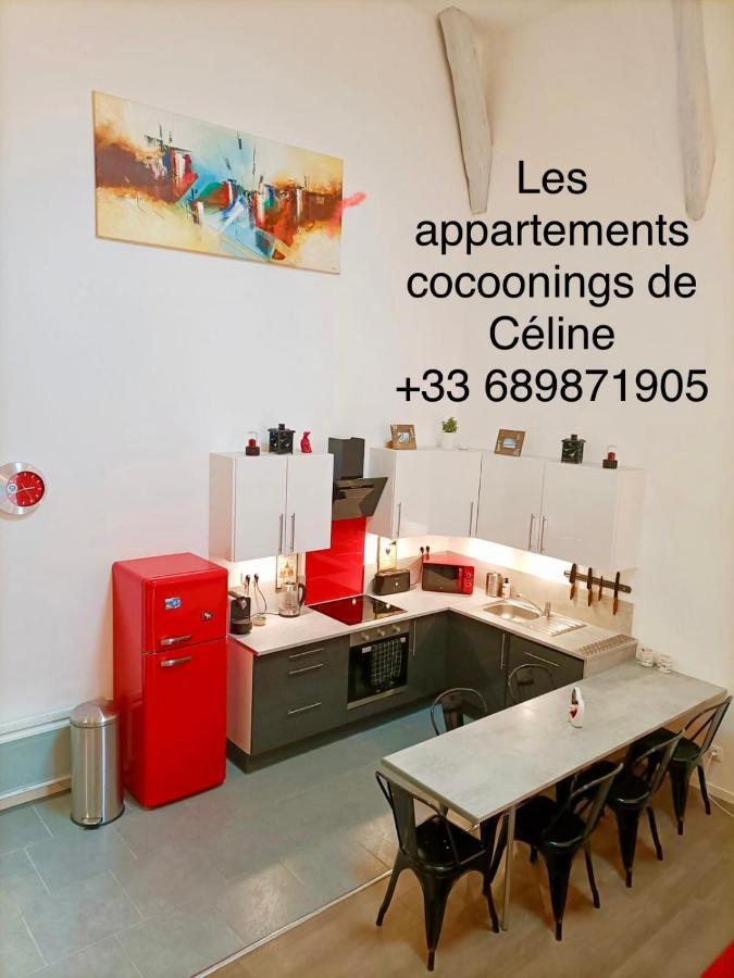 Superbe Appartement Type Loft En Duplex Rue Buat Шалон-ан-Шампань Экстерьер фото